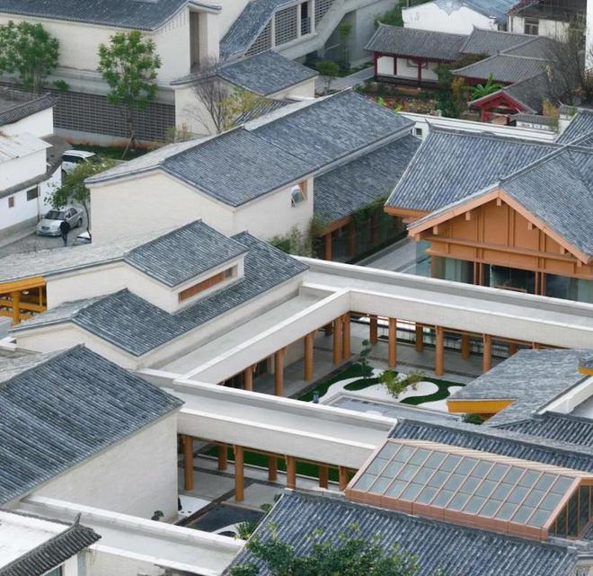 一周观展｜刘海粟书法大展近尾声石虎晚年画展将开启(图15)