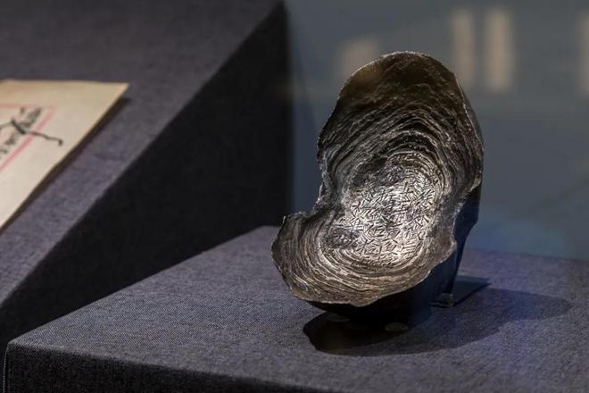 一周观展｜刘海粟书法大展近尾声石虎晚年画展将开启(图25)