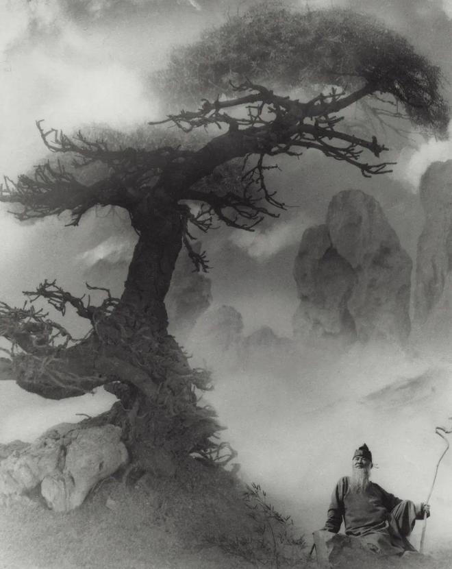 一周观展｜刘海粟书法大展近尾声石虎晚年画展将开启(图37)