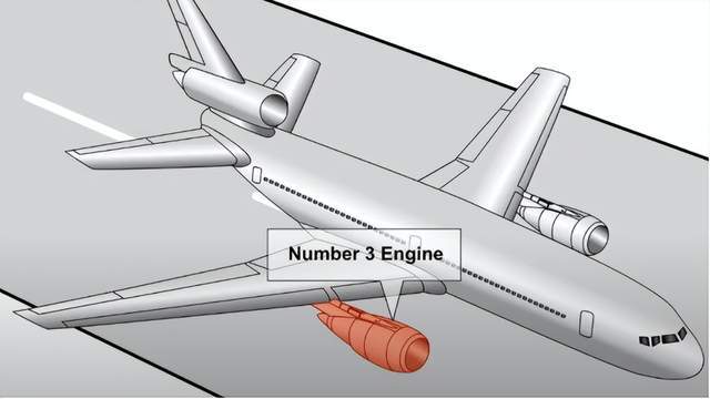 从韩国737客机失事看75年美国海外国家航空032号空难：鸟击危害(图4)