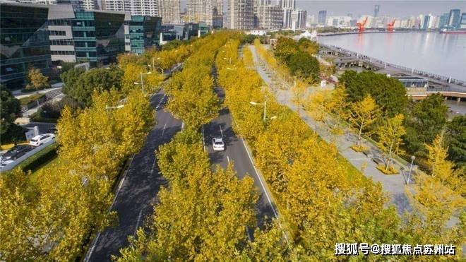 2024尚海湾豪庭-售楼处首页网站-尚海湾豪庭最新价格-楼盘测评-最新资讯(图6)