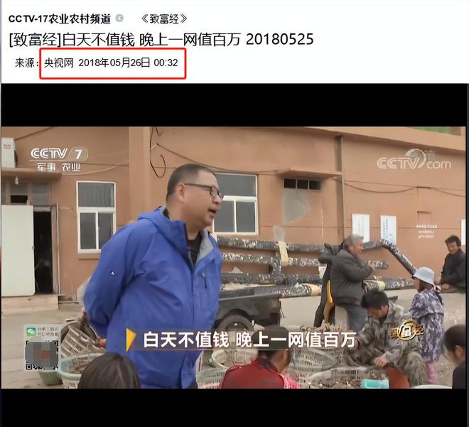 浙江养鱼大户黑暗中捕到的“鱼”白天不值钱晚上值百万(图9)