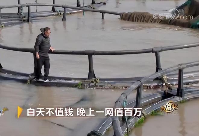 浙江养鱼大户黑暗中捕到的“鱼”白天不值钱晚上值百万(图11)