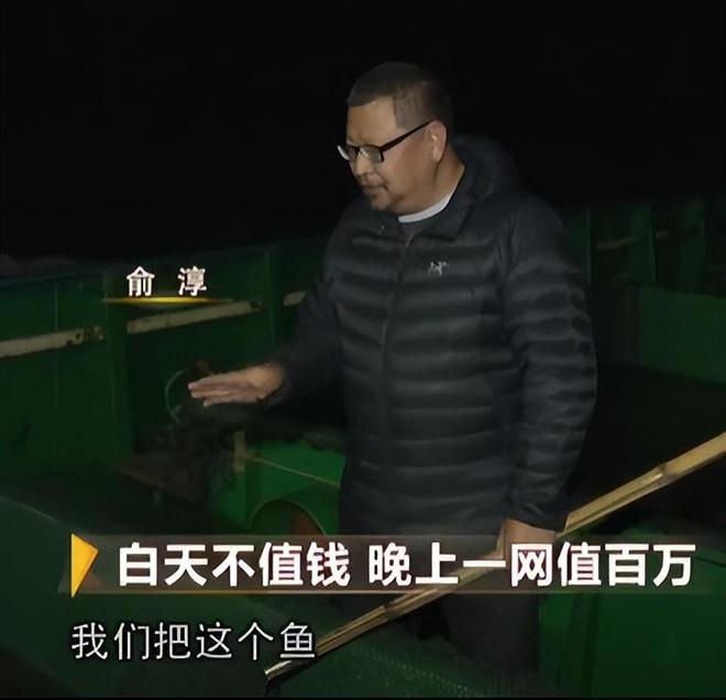 浙江养鱼大户黑暗中捕到的“鱼”白天不值钱晚上值百万(图12)
