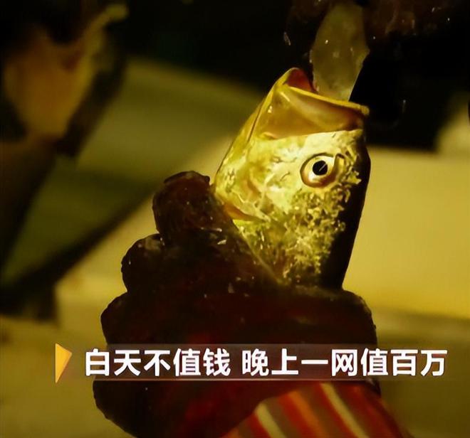 浙江养鱼大户黑暗中捕到的“鱼”白天不值钱晚上值百万(图15)