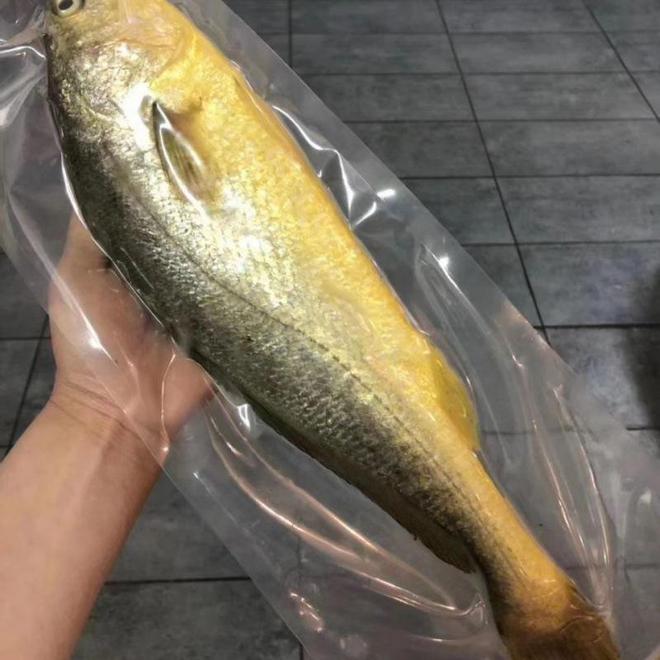 浙江养鱼大户黑暗中捕到的“鱼”白天不值钱晚上值百万(图17)