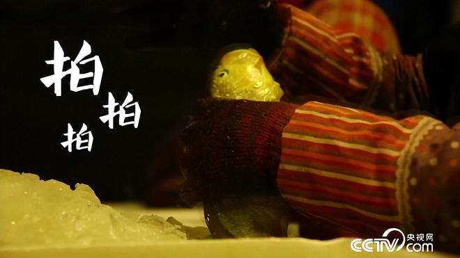 浙江养鱼大户黑暗中捕到的“鱼”白天不值钱晚上值百万(图18)