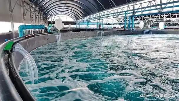 米乐M6：集约化海水养殖项目可行性研究报告(图1)
