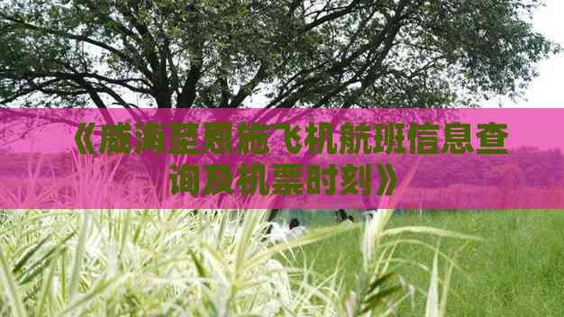 威海去恩施腾龙洞团体旅游(图3)