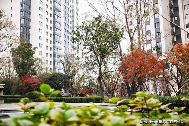 ◈尚海湾售楼处尚海湾发布：价格有惊喜!(图5)