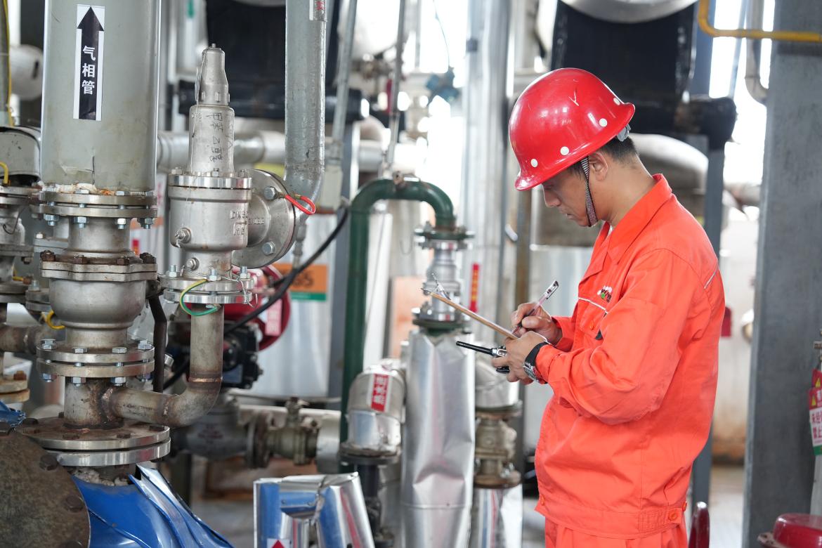 安徽东至：“智改数转”闯出发展新天地(图5)