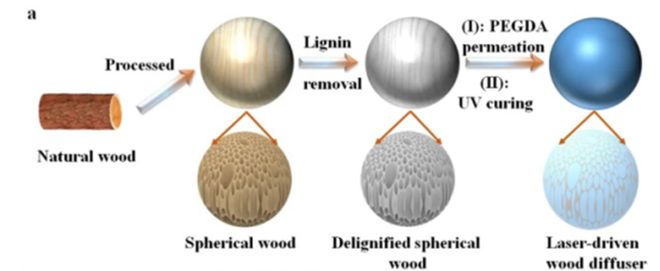 米乐M6网页版：你见过透明木头吗？抗摔耐造韧性超过玻璃！(图6)
