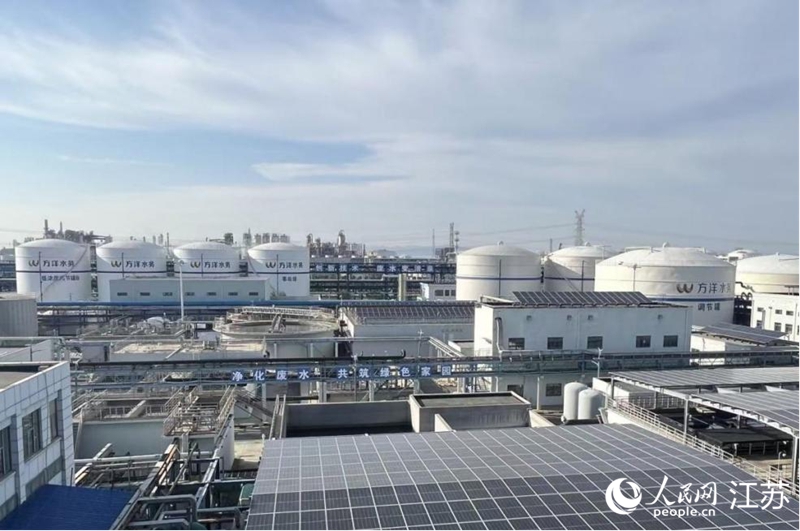 徐圩新区一座石化新城的逐“绿”答卷(图3)