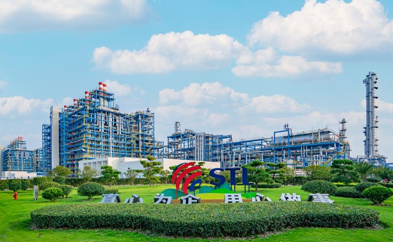 徐圩新区一座石化新城的逐“绿”答卷(图2)