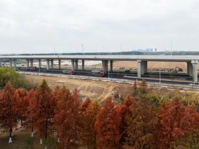 米乐M6：常州高架！大变样！(图9)