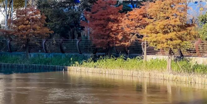 百度热搜上海浦发上品售楼处发布：浦发上品以品质铸就传奇！(图5)