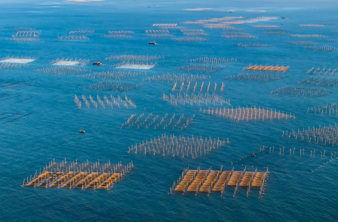 江苏连云港：陆海统筹科学用海让“碧海银滩”蝶变成“金山银山”(图3)