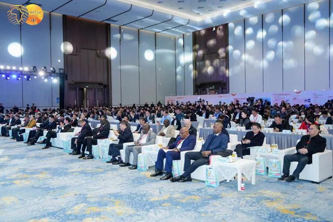 锚定新机走进非洲“浙”里有新范式(图1)